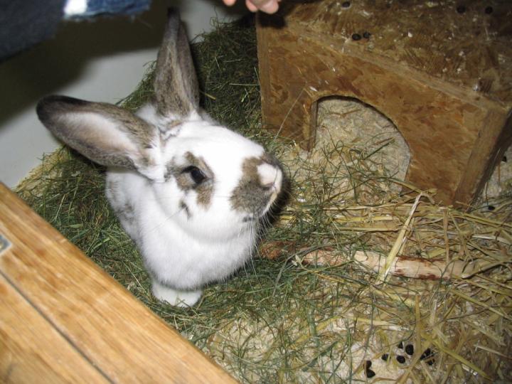 Okta Zieht Ein Okta Zieht Ein